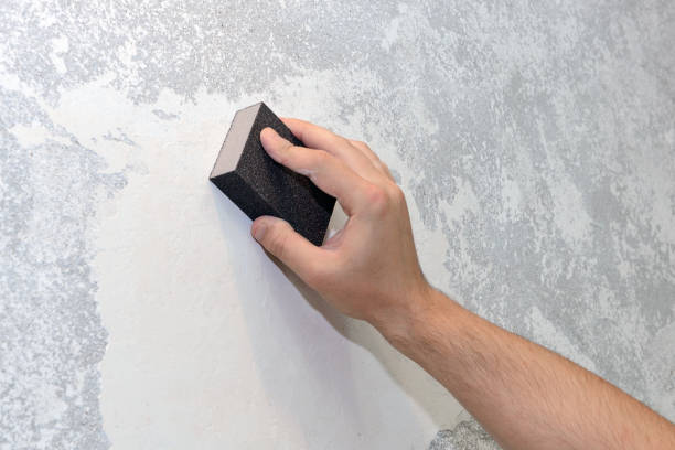 Best Environmental Consulting for Mold Prevention  in Indio, CA