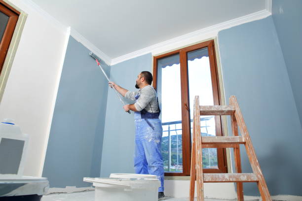 Best Post-Construction Mold Inspection  in Indio, CA