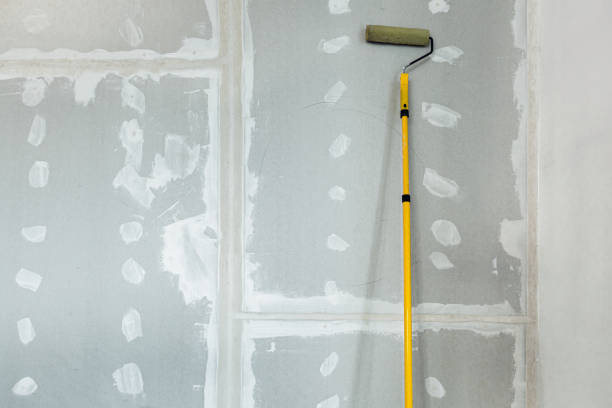 Trusted Indio, CA Mold Removal Experts