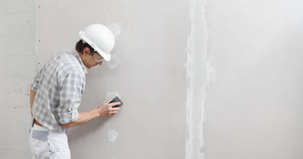 Best Black Mold Removal  in Indio, CA