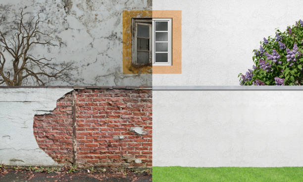 Best Emergency Mold Remediation  in Indio, CA