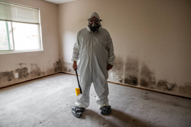 Best Post-Remediation Verification Testing  in Indio, CA