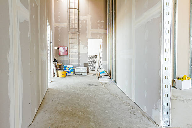 Best Mold-Related Health Consultation  in Indio, CA