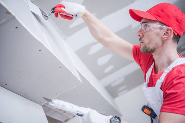Best Mold Damage Restoration  in Indio, CA